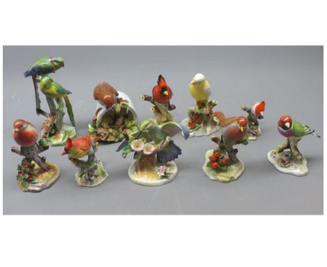 Group of ten Royal Adderley model birds to include canary, cardinal and various others 