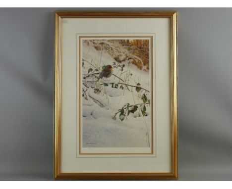 STEVEN TOWNSEND colour limited edition (395/400) print - a robin on bramble branches in snow, signed in full, 43 x 27 cms