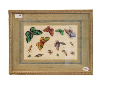 Chinese rice paper panel painted with moths, butterflies and insects 17.5cm by 27.5cm; together with a pair of painted cerami