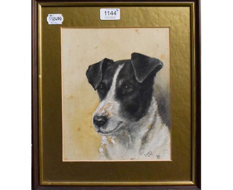 British School (20th century)Portrait of a Jack Russel Terrier "David" 1922Signed P K Grey, watercolour heightened with white