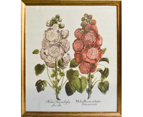 A pair of botannical furnishing prints in gilt frames, foxgloves and hollyhocks; together with a small quantity of astrology 