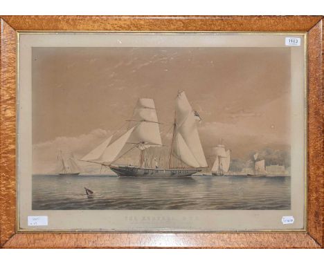 T.G. Dutton, after T.S. RobbinsThe Kestrel. R.Y.S Lithograph, 51cm by 72cm , in a birdseye maple frame
