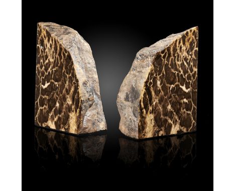 Fossils: An unusual pair of fossil wood bookends made from Pentoxylon tree wood  Permian, Australia 15cm high