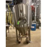 NSI NEWLANDS 304SS glycol jacketed and insulated 10 bbl (12 hl) fermenter tank with CIP spray ball