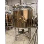 NSI NEWLANDS aisi 304SS steam jacketed and insulated 10 bbl (12 hl) mash kettle with mash mixer,