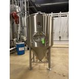 NSI NEWLANDS 304SS glycol jacketed and insulated 10 bbl (12 hl) fermenter tank with CIP spray ball