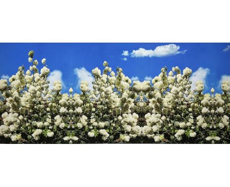 20TH CENTURY SCHOOL, 'Blossoms', print on canvas, 90cm x 200cm, together with a similiar pair, 115cm x 35cm. (3) 
