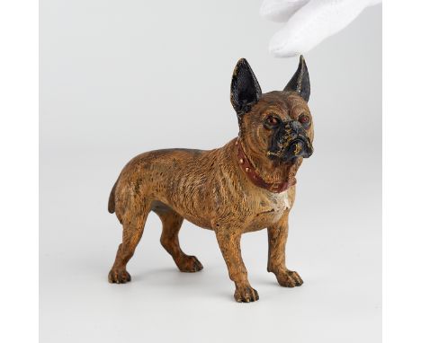 Geschutzt, Vienna, Austria. Cold painted cast bronze French bulldog. Stamped "Gesschutzt" along the sternum. School of Franz 