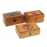 Three small whitewood medallion decorated and painted Tunbridge ware rectangular boxes, comprising