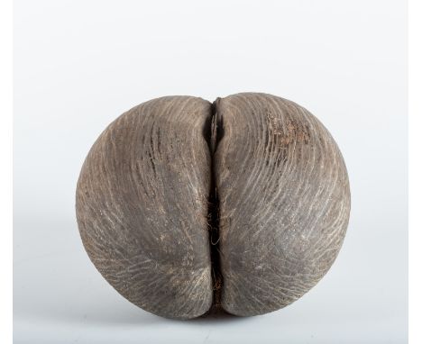  A coco-de-mer (Lodoicea Maldivica) shellOf un-polished naturalistic form Cm 25,50 x 14,00 22.00 % buyer's premium on the ham