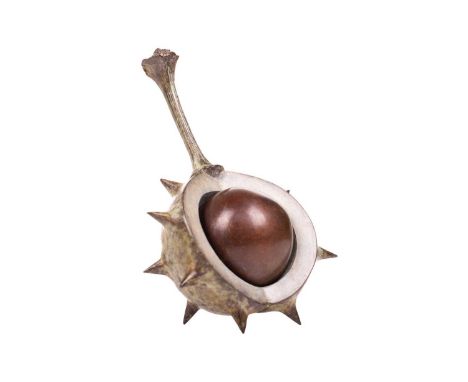Mark Hall (b.1970), 'Self Harm' (Popping Out), bronze study of a conker in a half-opened casing, 11 cm high.Purchase receipt 