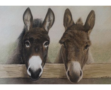 Framed coloured pencil portrait of two donkeys by Pauline Hurst '96, 47cm x 38cm