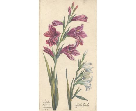 VALLET (PIERRE)Le jardin du roy tres chrestien Henry IV,  hand-coloured etched pictorial title-page and 15 etched plates only