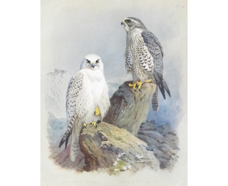 THORBURN (ARCHIBALD)British Birds, 4 vol. (without Supplement), NUMBER 2 OF 105 LARGE PAPER COPIES,  80 tipped-in colour plat