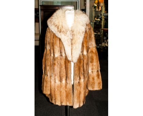 Ladies Three Quarter Length Musquash Coat, fully lined. slit pockets. With Fox Fur Collar.. 