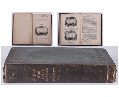 Sheep Breeds Management By William Youatt P.R.V.C 'The Mountain Shepherds Manual' New Edition 1856 Robert Baldwin London.