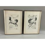 Beihong, Xu (1895-1953) nach, zwei Radierungen signiert Li Leung oder ähnlich, Pferde