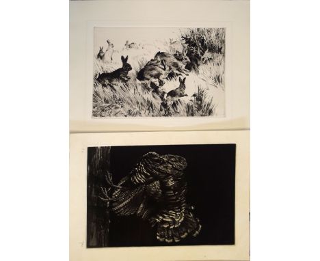 Moli?, Cockerel, black and white etching, signed in pencil to lower right margin, 29 x 19cm, together with one further etchin