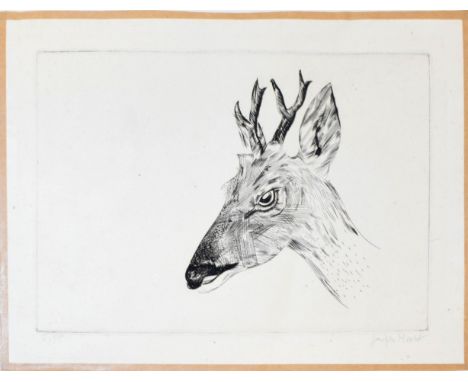 AR Joseph Hecht (1891-1951), Deer head, black and white etching, signed lower right and numbered 6/35 lower left, 14 x 20cm, 
