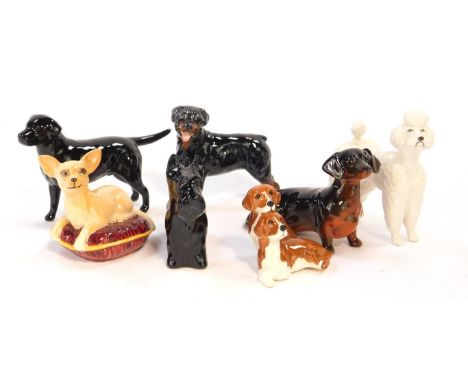 Seven Beswick pottery dogs, including a Chihuahua on a cushion, poodle, and a dachshund.