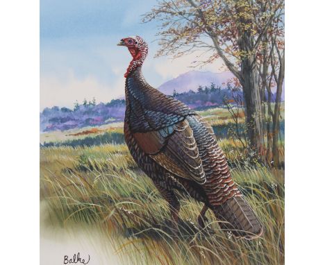 Don Balke (North Carolina, B. 1933) "Wild Turkey" Signed lower left. Original Watercolor painting on Illustration Board. Prov