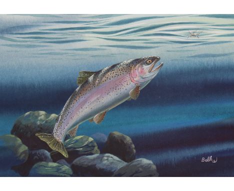 Don Balke (North Carolina, B. 1933) "Fishing Flies - Cutthroat Trout" Signed lower right. Original Watercolor painting on Ill