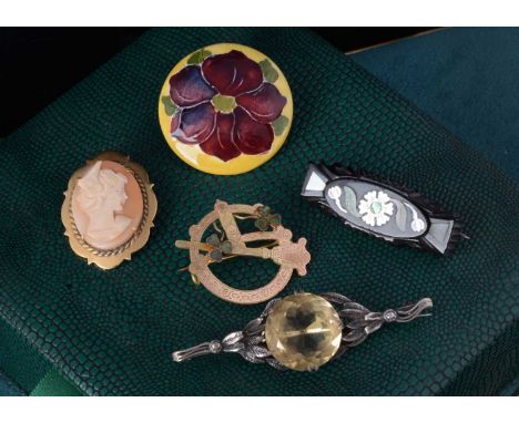 A collection of brooches, including an Irish green stone Celtic, a Moorcroft flower brooch, a jet and mother of pearl bar bro