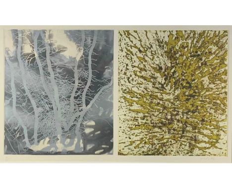 Michael PORTER (b.1948)Untitled DiptychEtchingSigned and numbered 6/35 in pencil28.5 x 51cmCondition report: UK postage: £60+