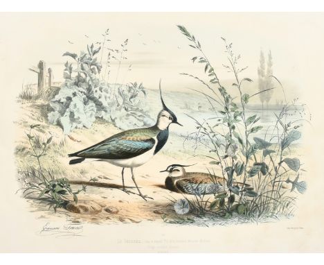Edouard Travies (19th Century) French, 'Le Venneau', hand-coloured lithograph, 13.75" x 18" (35 x 46cm).