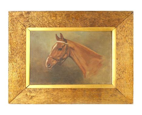 ALFRED G HAIGH (1870-1963) AN EARLY 20TH CENTURY OIL ON BOARD PORTRAIT OF A HORSE signed and dated 1918 in chamfered wood fra