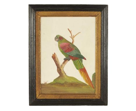 A GEORGIAN EMBOSSED PAPERWORK BIRD PORTRAIT OF A PARROT IN THE MANNER OF SAMUEL DIXON the colourful raised image perched on b