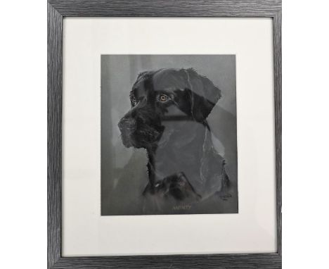 Anne Ward is an established, commissioned artist, who specialises in portraits of horses and dogs and uses the medium of past