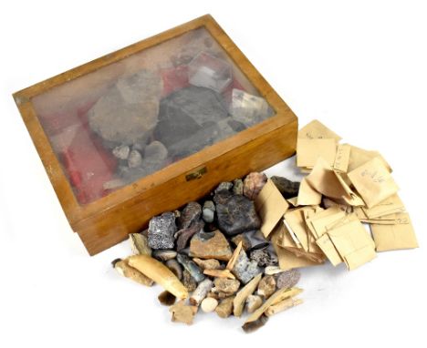 A collection of various 19th century archaeology and fossil finds to include various Ammonites, the largest 14cm across, flin