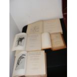 The History of North American Pinnipeds, Life Hist