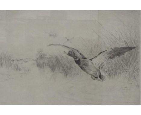 JACKSON SIMPSON (Scottish, 1893-1963)Rising, etching, signed, 17cm x 22.7cm, bearing 'Hugo Lang & Co. Ltd., Liverpool' label 