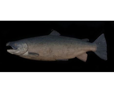 20th Century carved and painted half block model of a salmon, carved and painted to one side, 105cm long