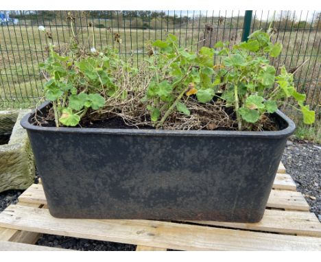 Early 20th century cast iron D shaped trough - planted, W90cm, D48cm, H39cm - Condition Report 