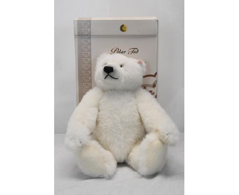 A boxed Steiff bear, Polar Ted. Bear is 30cm high. 