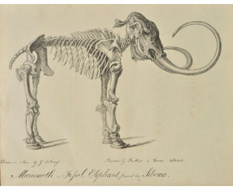 Buckland (William). Vindiciae Geologicae; or the Connexion of Geology with Religion Explained, in an Inaugural Lecture Delive