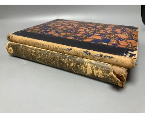 Catalogue of Lepidopterous Insects in the Collection of the British Museum, 1852, with 13 coloured plates, and National Acade
