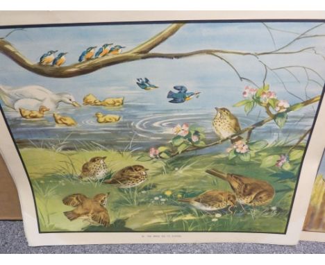 Enid Blyton Nature plates, painted by Eileen E Soper, a quantity of School/nursery poster size coloured printed plates c 1950