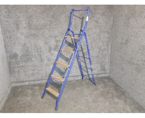 Blue step ladders