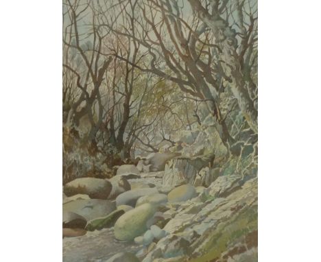 Roy Young Ferguson RSW (1907-1981) Study of a woodland stream, the dappled light falling on a patchwork of pebbles and mosses