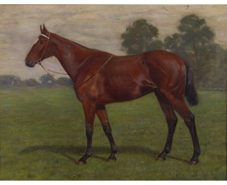 R. H. BROCK. Framed, signed, dated 1910, oil on canvas, horse standing in profile in field, 39cm x 49.5cm.