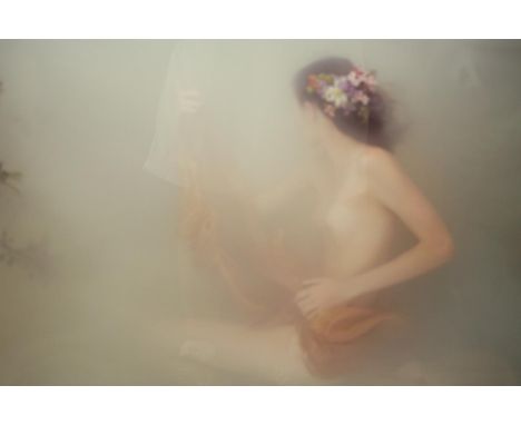Toby Burrows, The Garden II , 2017, limited edition C-type print on Hahnemuhe fine art baryta paper. Signed.  H.84 W.103cm. 