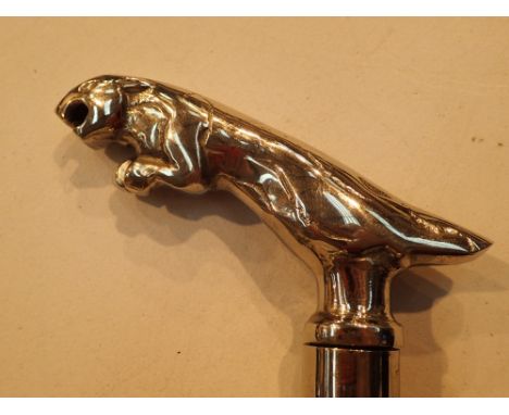 Jaguar handled walking stick