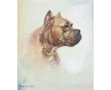 Continential School (20th Century)Head Study of a Boxer DogIndistictly signed, oil on canvas, 49cm by 39cm; together with ano