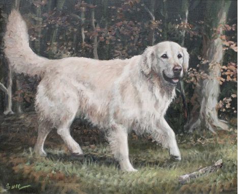 Des Snee (20th Century) "Brig" Portrait of a Golden RetrieverSigned, signed, inscribed and dated Feb (19)99 verso, oil on can