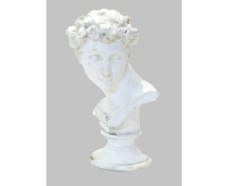 After Michelangelo: A Plaster Bust of David, on a circular socle48cm highA crack at the neck and socle joint. Other general m