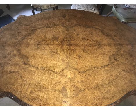 A burr walnut tilt top looe table, on original ceramic castors, slight a/f to edge. 151 w x 111 w x 72cms h. 
